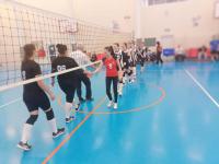 турнир по волейболу