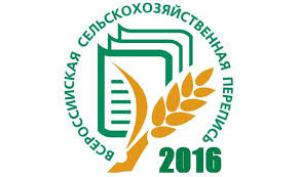 ���� ����� ����������������?