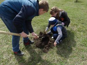 ����� ������ �������