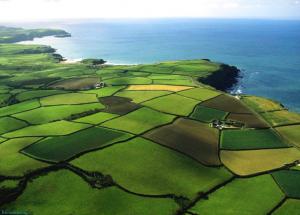 �� ������� ������