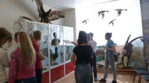 ��������� � �������� - ����������� �����