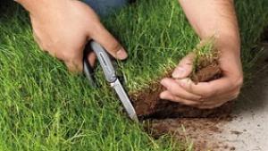 ��� �������� ������������� � ��������� ��������