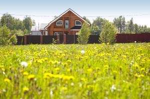 ��� ��� ������������