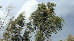 �������������� � ��������������� �������� ������