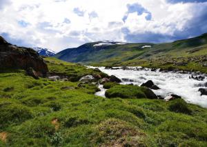 ���������� ������ ����������� �������: ������� ��� �������������� ������������� ��������