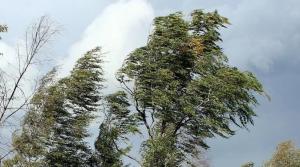 �������������� � ��������������� �������� ������