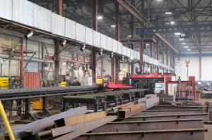 �����������-��������� ����������� �������� ������������� ������������ � ������� ����������