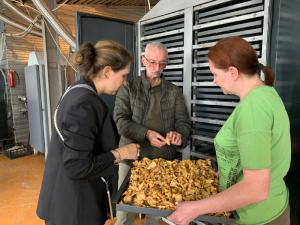 �����, ������� �� ����� � ���������� ����: ��������������� �� ������ ����� ����������� � ������������ ����