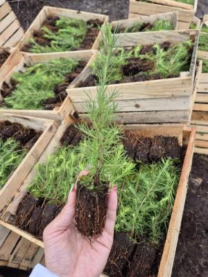 ������������ ��������������������� ����������� ������� ������ ����� ��������� ����������� ������������