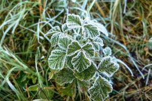 ���������� �������������� � ������!