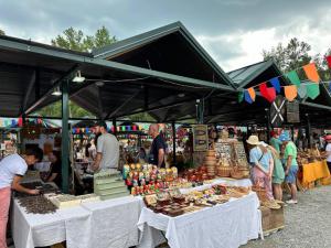 ����������� � ���� ��������: ������������ ������� �������� ��������� �� ������������� ������