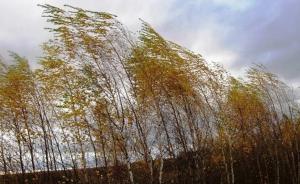 �������������� � ��������������� �������� ������